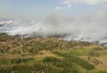Площадь пожара в государственном национальном парке в Карагандинской области увеличилась