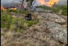 Пожарным удалось локализовать пожар в Каркаралинском национальном парке