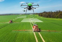 Как посеешь, так и пожнешь