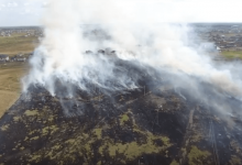 В поселке Косшы под столицей горит сухостой (ВИДЕО)