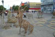 В Костанае установили 7-метровую инсталляцию «Сайгак»