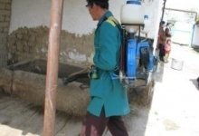 Чума, холера, язва, лихорадка - В некоторых регионах страны имеются природные очаги опасных инфекций