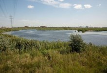 В столице  предложили создать природный парк на территории, прилегающей к Талдыколю.