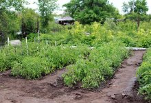 Легко ли бизнесу в глубинке?