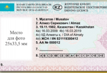 Как будет выглядеть обновленное водительское удостоверение, показали в МВД