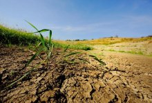 Новые технологии помогут избежать неурожаев – МСХ РК