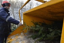 Зоопарк попросил у алматинцев их новогодние елки