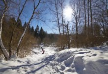Четырехлетняя девочка разбилась насмерть о дерево, катаясь на "ватрушке"