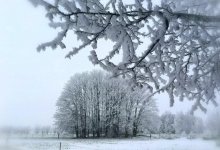 Штормовое предупреждение объявили в трех регионах Казахстана