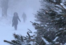 Туман и снег ожидаются в ряде регионов Казахстана 11 января