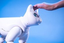 Кота-робота MarsCat показали на выставке в США