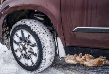 Гражданин Кыргызстана попал в ДТП на юге Казахстана - 4 человека погибли, один в больнице