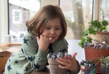 Ребенок из США после пожара в Австралии продал игрушек коал на 250 тысяч долларов