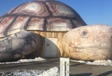 Общественники требуют изъять животных из зоопарка "Тортилла" в Шымкенте