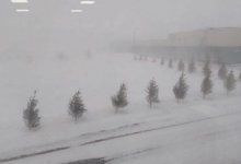 В школах и колледжах Нур-Султана отменили занятия