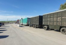 Упрощение процедуры грузоперевозок на таможенной границе обсудили Токаев и Жээнбеков