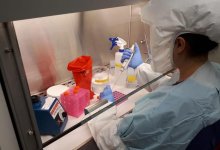 Тайские врачи обещают вылечить от коронавируса