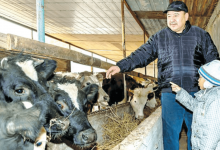 Все получится?