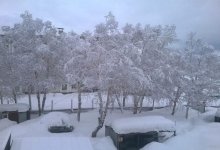 Находившегося в розыске 28 лет таджика нашли среди бомжей Петропавловска