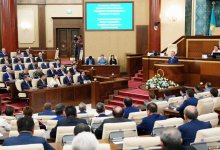 Они все равно спят: медиатор предлагает запретить избирать в Парламент людей старше 60 лет