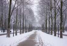 Снег ожидается на большей части Казахстана 13 февраля