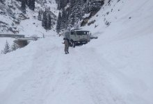 В горах близ Алматы сошла снежная лавина