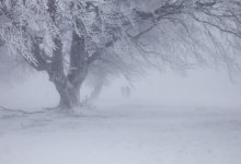 Метели, туман и усиление ветра ожидаются в Казахстане 21 февраля