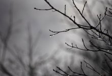 Дожди и грозы ожидаются в ряде регионов Казахстана 23 февраля