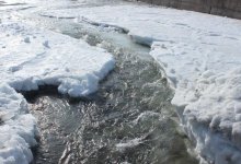 Из-за зеленой реки в Кыргызстане проверят воду в Шу в Жамбылской области