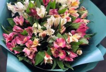 Как правильно выбрать цветы – советы экспертов