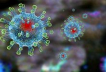 Где в Алматы можно провериться на COVID-19