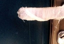 Мокрые тряпки на дверях детсада Актау возмутили родителей