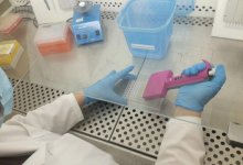 Еще два случая – число зараженных коронавирусом в Казахстане увеличилось до 35