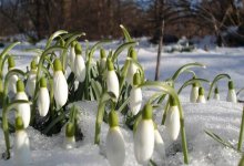 Погода без осадков ожидается на большей части Казахстана 25 марта