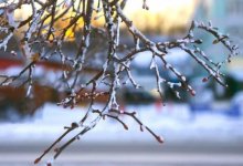 Снег ожидается в отдельных регионах Казахстана 29 марта