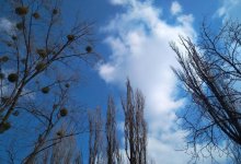 Погода без осадков ожидается на большей части Казахстана 31 марта