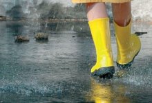 Дожди ожидаются на большей части Казахстана 2 апреля