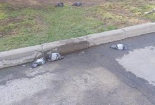 Замакима Алматы озвучил возможную причину смерти голубей в парке 28 панфиловцев