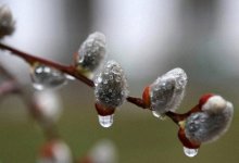 Туман, дождь, ветер - прогноз погоды по Казахстану на 4 апреля