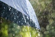 Нежаркое лето прогнозируют в Казахстане