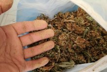 Семь килограмм гашиша нашли на автомойке в Шу