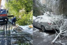 Жители Шымкента остались без электричества из-за мокрого снега