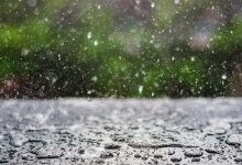 Дожди, туман, ветер – прогноз погоды по Казахстану на 16 апреля