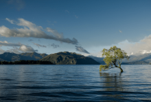 Отслеживать состояние Земли можно будет через "Планетарный компьютер" Microsoft