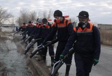 Комаров начали травить в Нур-Султане