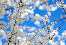 Погода без осадков ожидается на большей части Казахстана 19 апреля