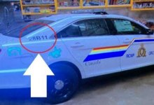 Более 10 человек застрелил переодетый в полицейского житель Канады