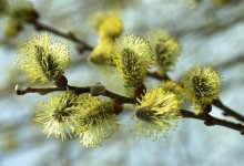 Погода без осадков ожидается на большей части Казахстана 21 апреля