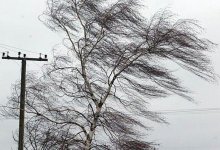 Туман, град и сильный ветер – прогноз погоды на 22 апреля в Казахстане