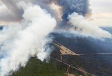 Близ Семея горят 100 гектаров леса